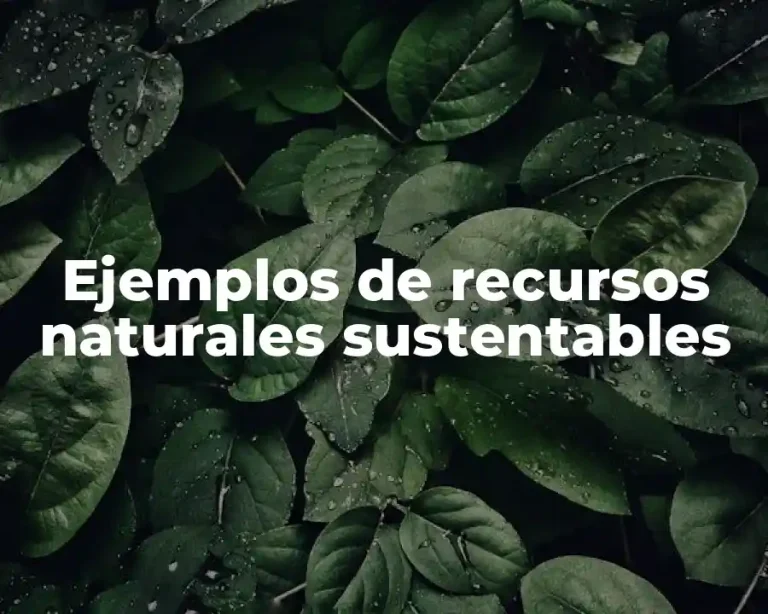 Ejemplos de recursos naturales sustentables
