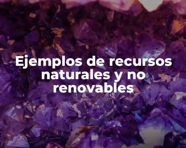 Ejemplos de recursos naturales y no renovables