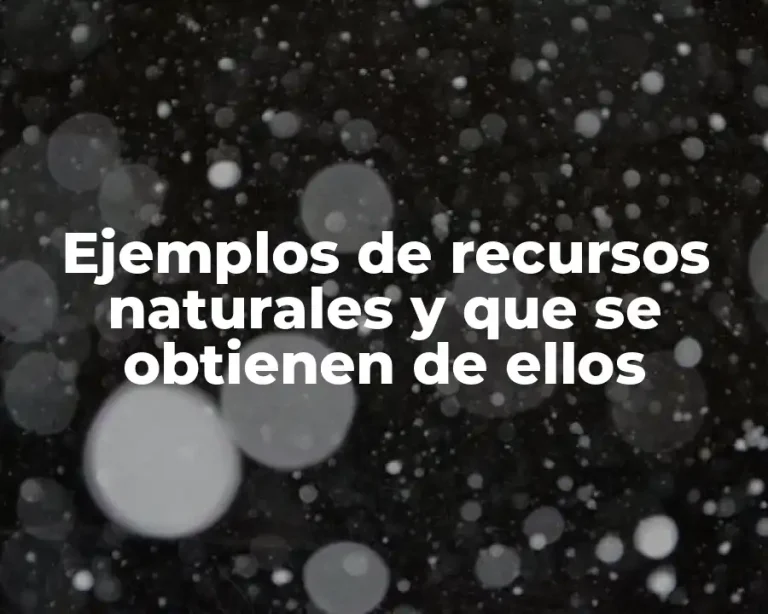 Ejemplos de recursos naturales y que se obtienen de ellos