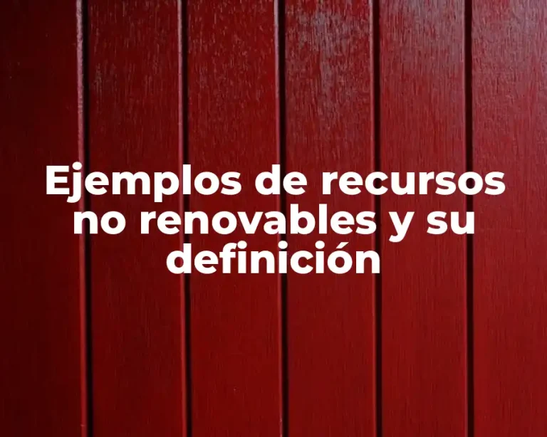 Ejemplos de recursos no renovables y su definición