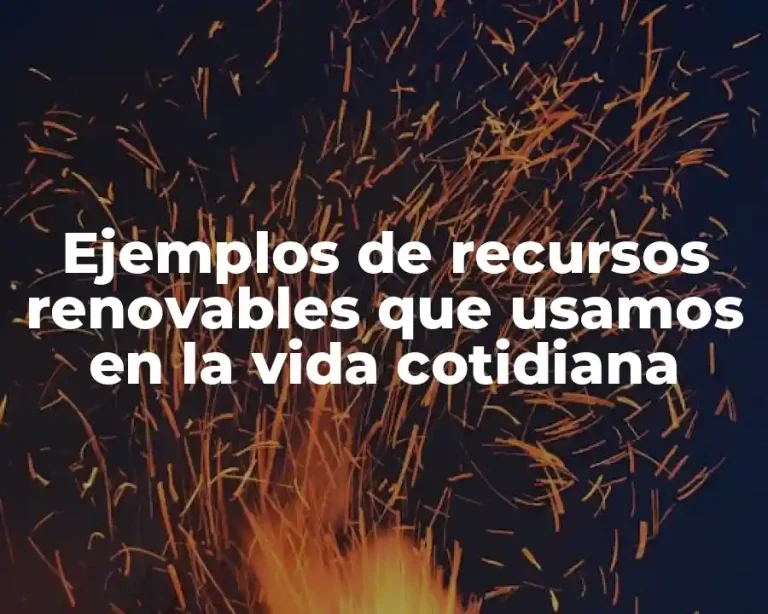 Ejemplos de recursos renovables que usamos en la vida cotidiana