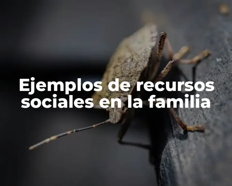 Ejemplos de recursos sociales en la familia