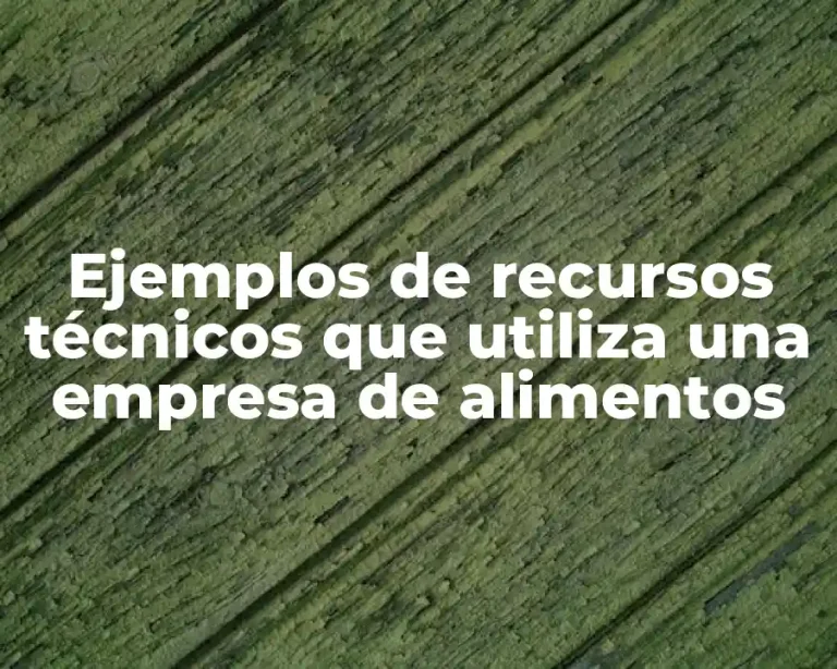 Ejemplos de recursos técnicos que utiliza una empresa de alimentos
