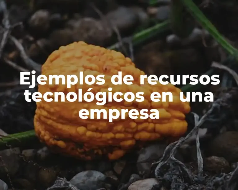 Ejemplos de recursos tecnológicos en una empresa