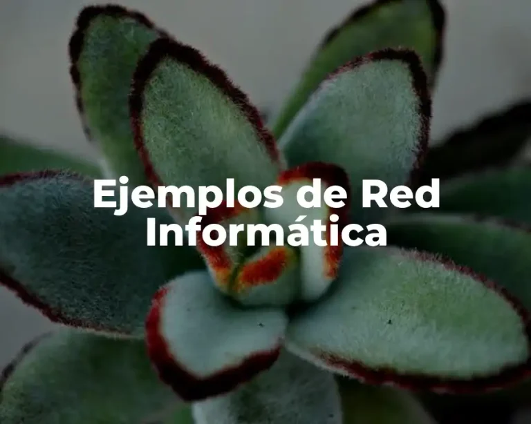 Ejemplos de Red Informática