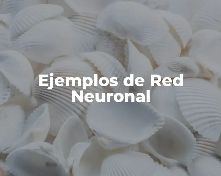 Ejemplos de Red Neuronal