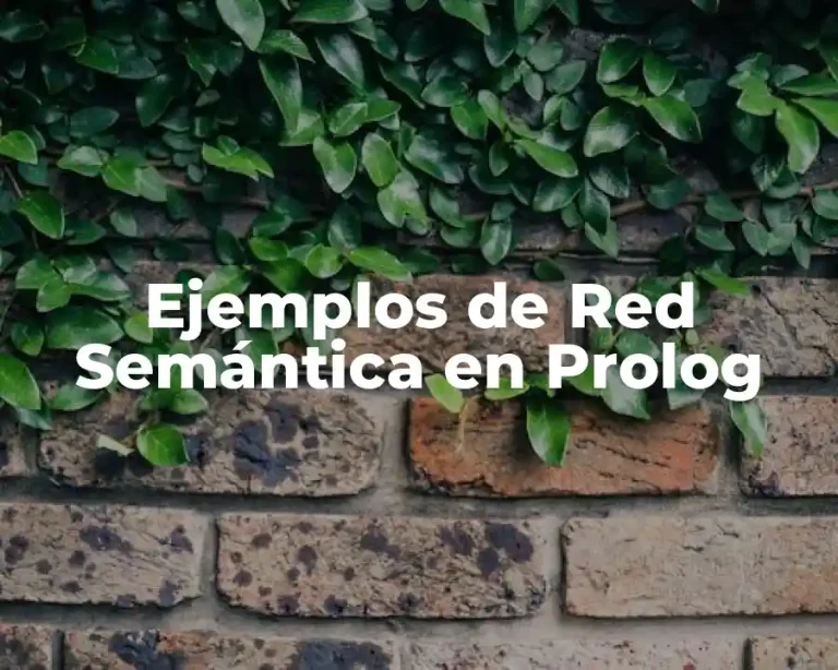 Ejemplos de Red Semántica en Prolog