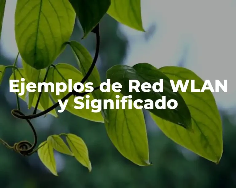 Ejemplos de Red WLAN y Significado