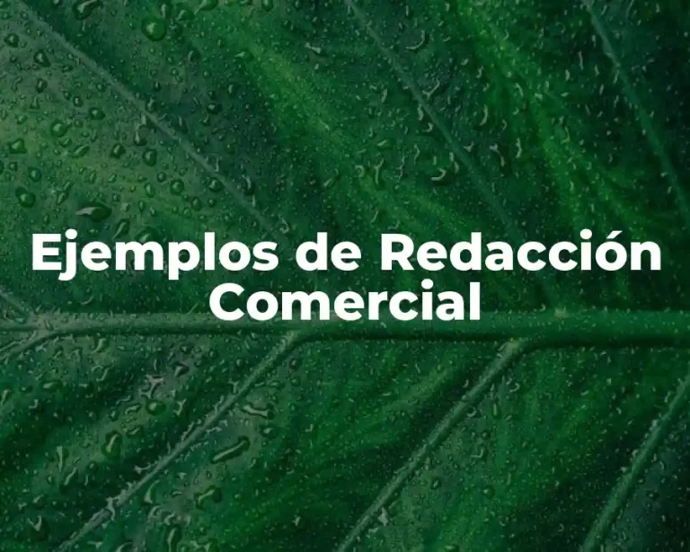 Ejemplos de Redacción Comercial