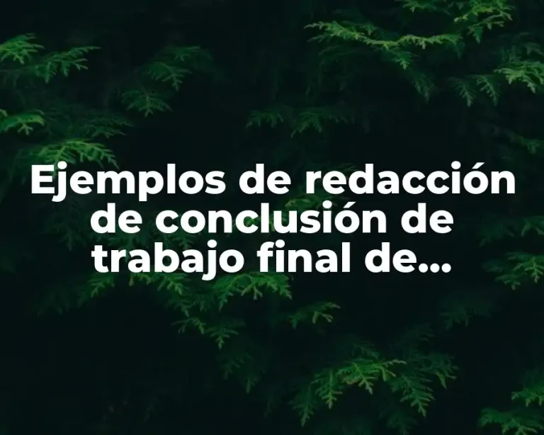 Ejemplos de redacción de conclusión de trabajo final de ortografía