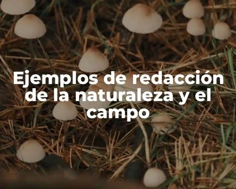 Ejemplos de redacción de la naturaleza y el campo