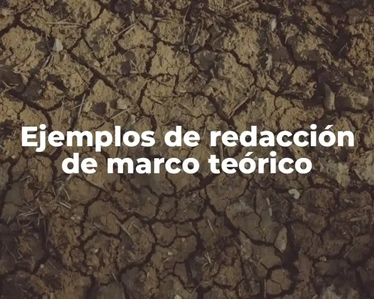 Ejemplos de redacción de marco teórico