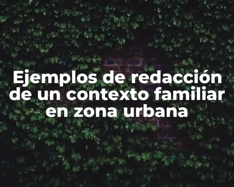 Ejemplos de redacción de un contexto familiar en zona urbana