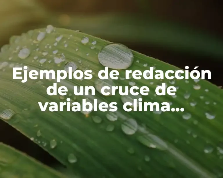 Ejemplos de redacción de un cruce de variables clima organizacional