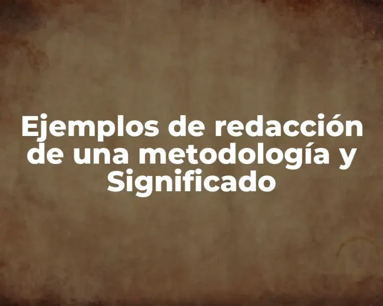 Ejemplos de redacción de una metodología y Significado