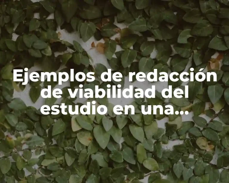 Ejemplos de redacción de viabilidad del estudio en una investigación y Significado