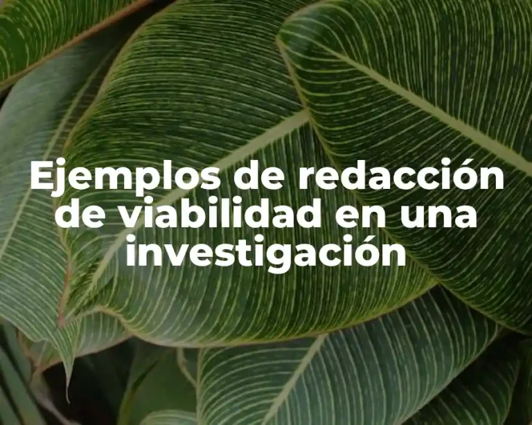 Ejemplos de redacción de viabilidad en una investigación