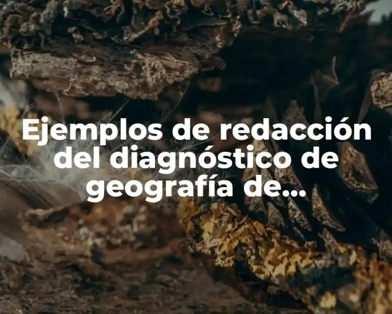 Ejemplos de redacción del diagnóstico de geografía de secundaria