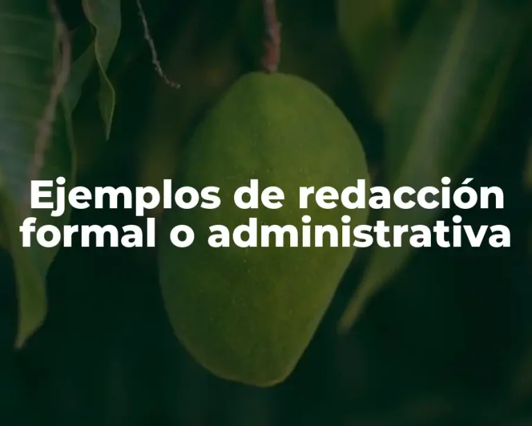Ejemplos de redacción formal o administrativa