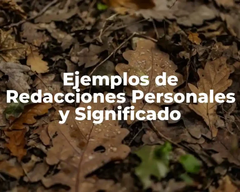 Ejemplos de Redacciones Personales y Significado