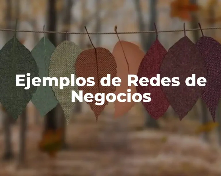 Ejemplos de Redes de Negocios