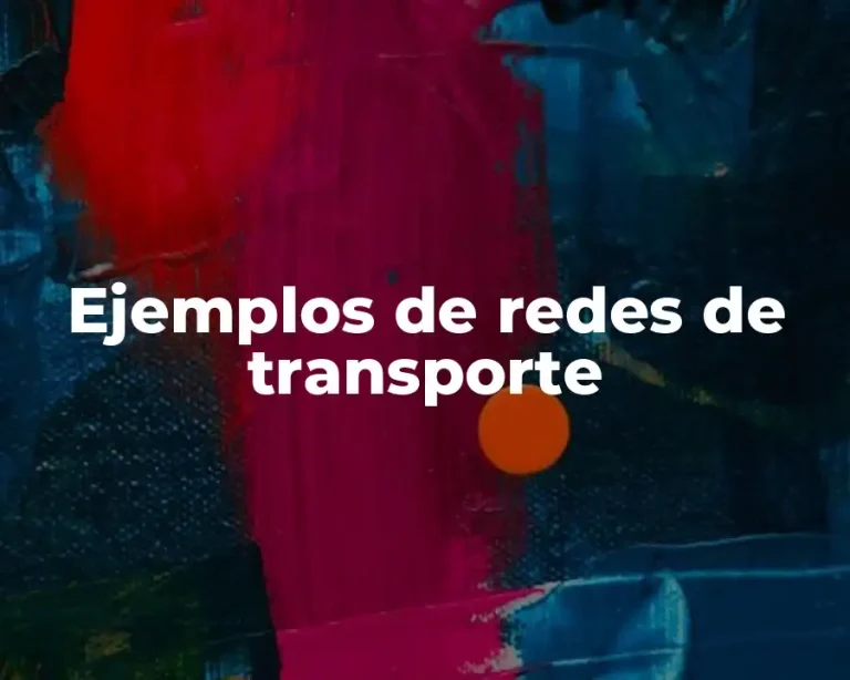 Ejemplos de redes de transporte