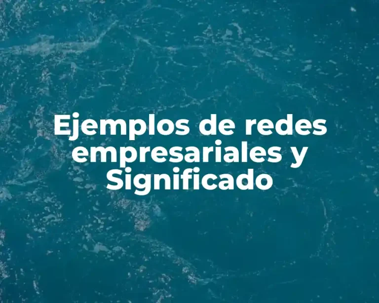 Ejemplos de redes empresariales y Significado
