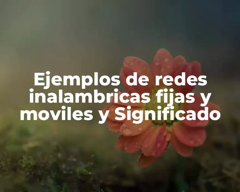 Ejemplos de redes inalambricas fijas y moviles y Significado