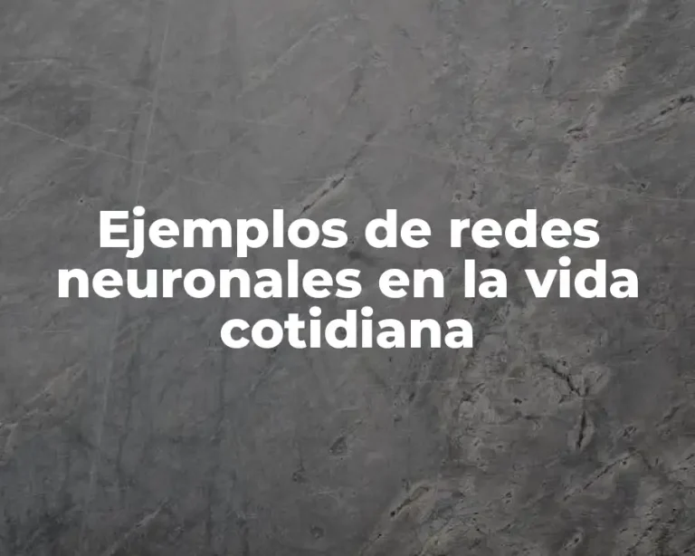 Ejemplos de redes neuronales en la vida cotidiana