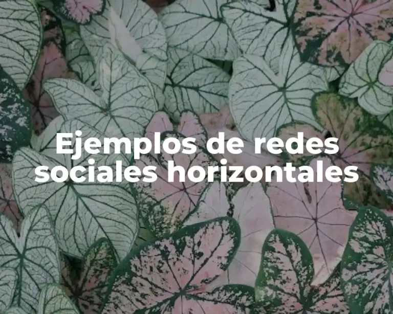 Ejemplos de redes sociales horizontales