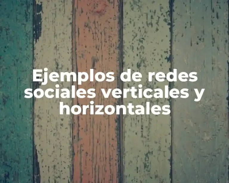 Ejemplos de redes sociales verticales y horizontales