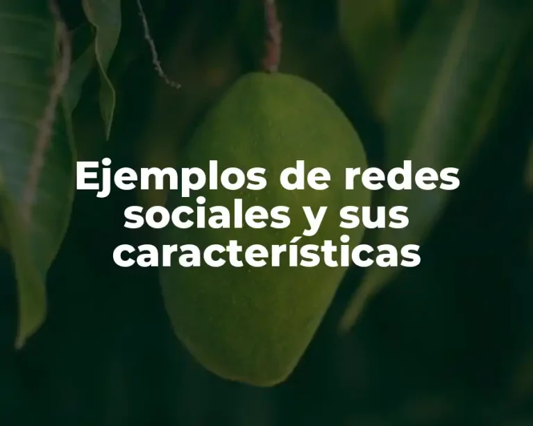 Ejemplos de redes sociales y sus características