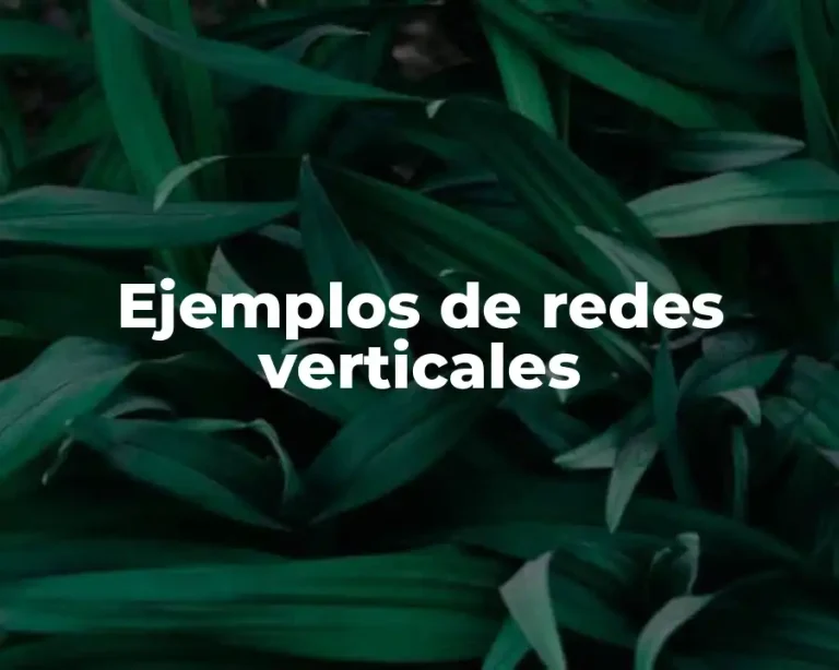 Ejemplos de redes verticales