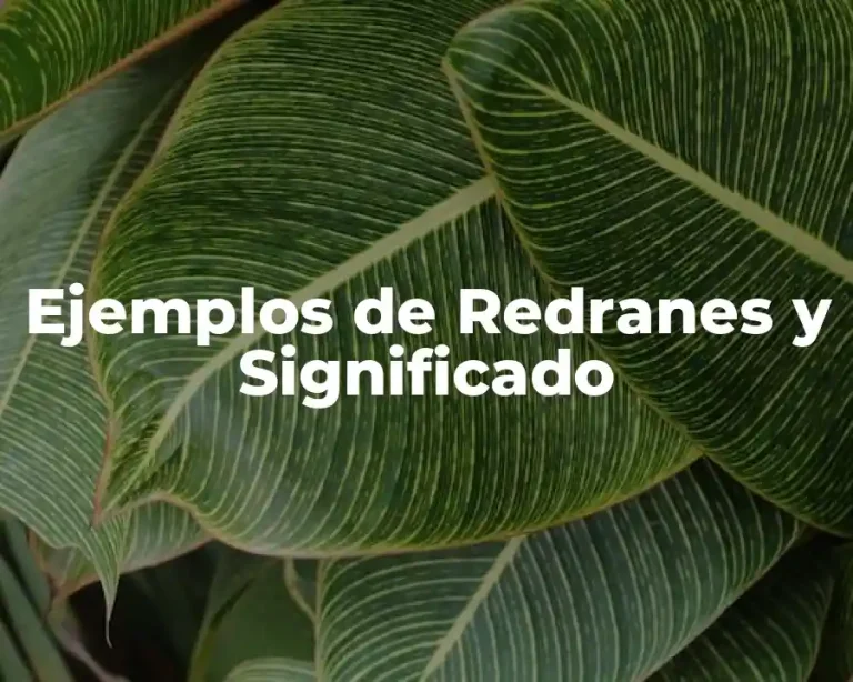 Ejemplos de Redranes y Significado