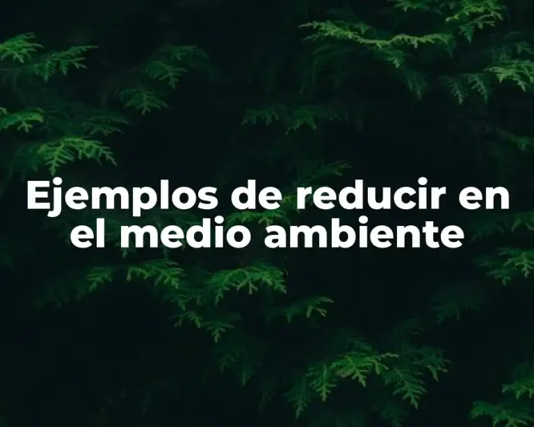 Ejemplos de reducir en el medio ambiente