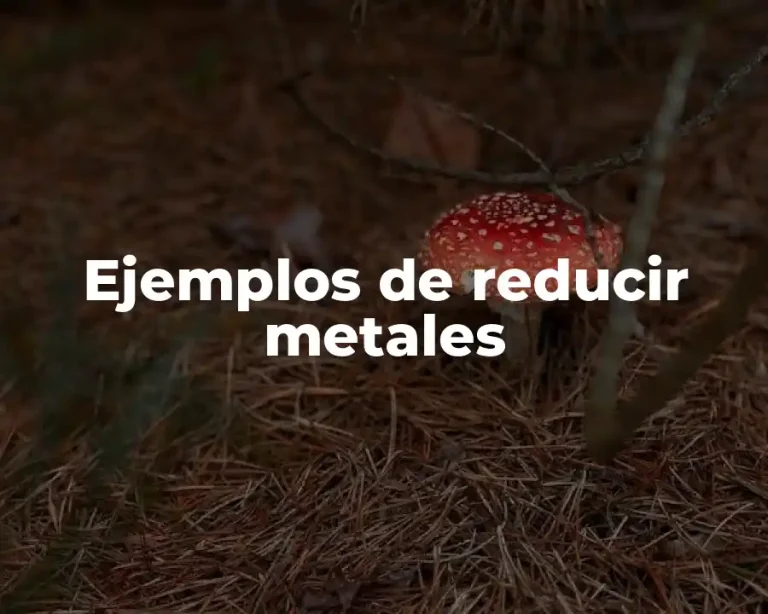 Ejemplos de reducir metales