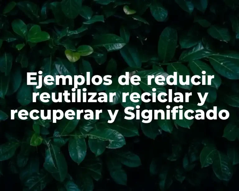 Ejemplos de reducir reutilizar reciclar y recuperar y Significado