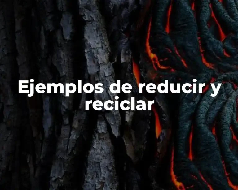 Ejemplos de reducir y reciclar
