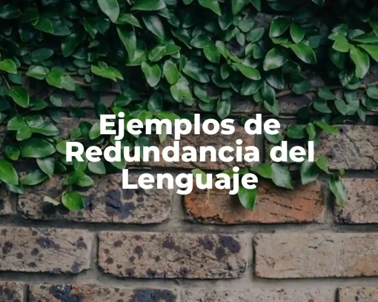 Ejemplos de Redundancia del Lenguaje