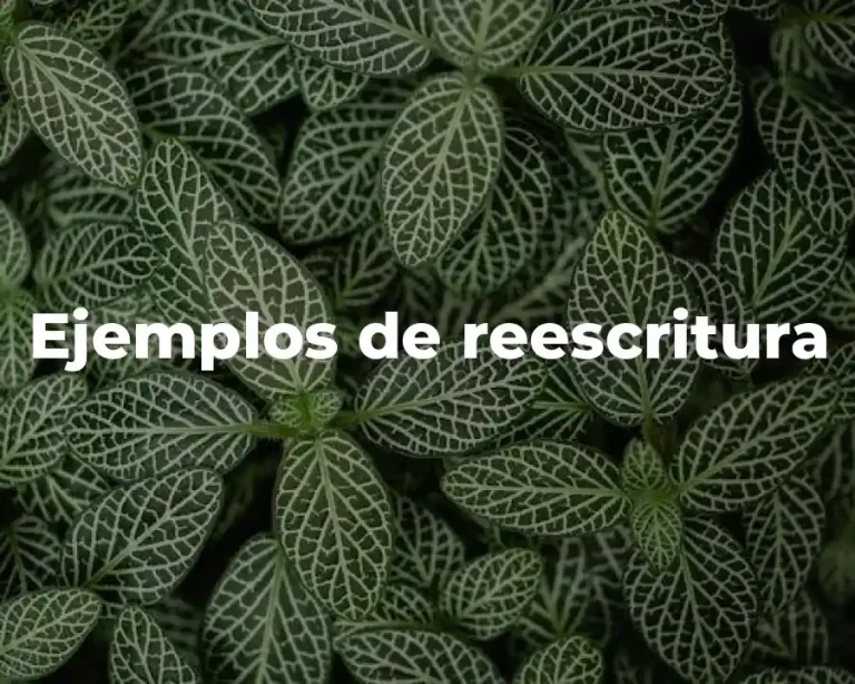 Ejemplos de reescritura