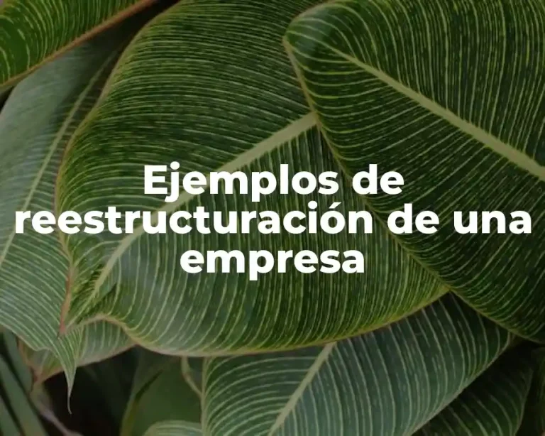 Ejemplos de reestructuración de una empresa