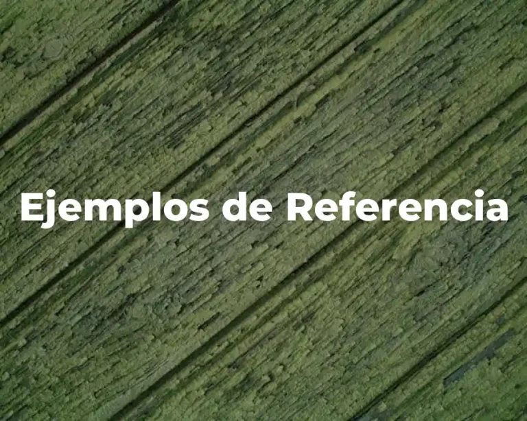 Ejemplos de Referencia