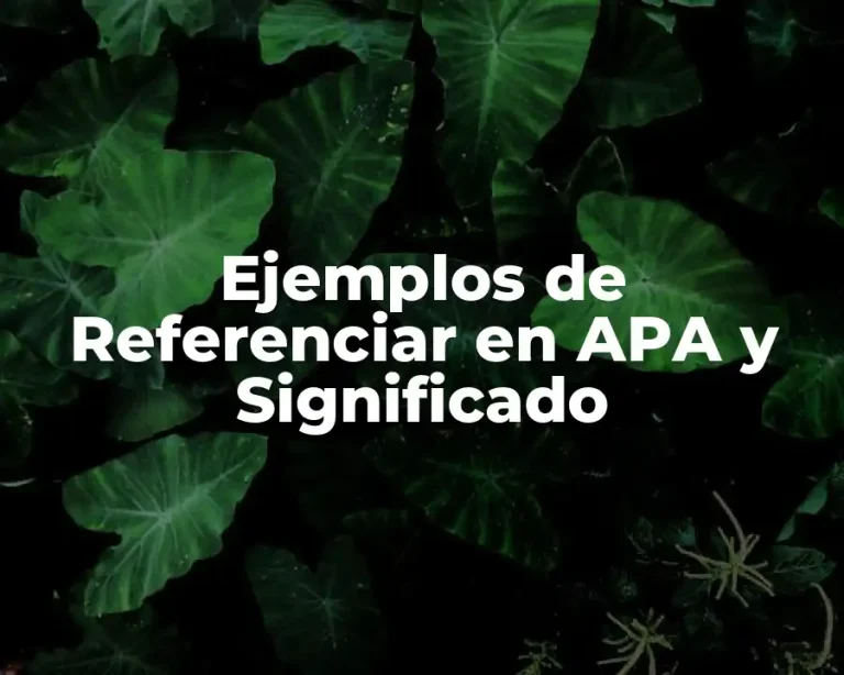 Ejemplos de Referenciar en APA y Significado