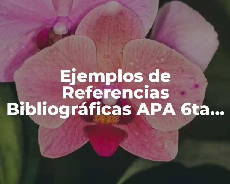 Ejemplos de Referencias Bibliográficas APA 6ta Edición