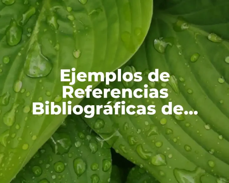 Ejemplos de Referencias Bibliográficas de Capítulos de Libros en Línea