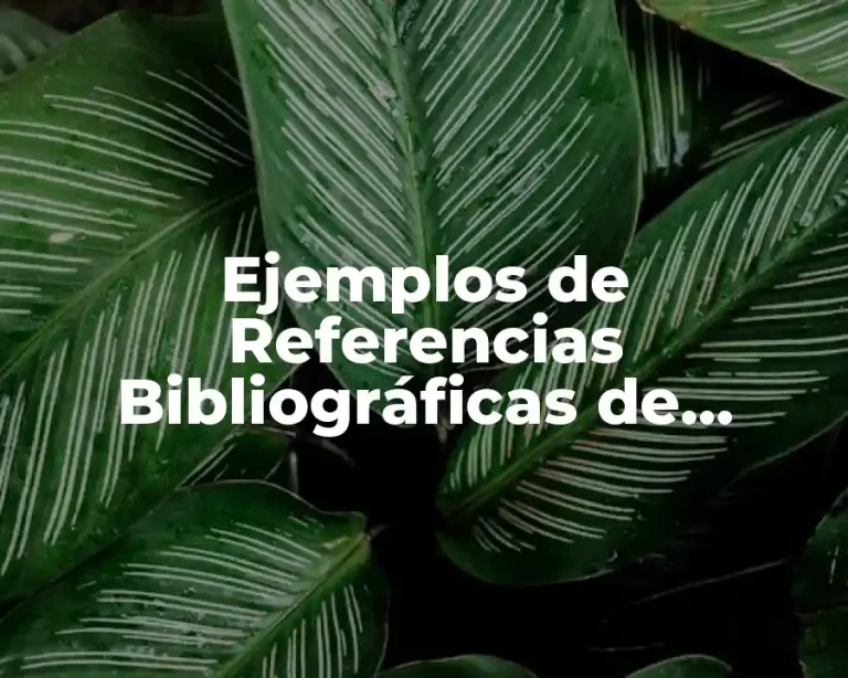 Ejemplos de Referencias Bibliográficas de Páginas Web Según APA