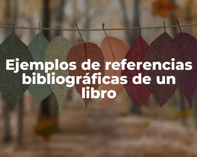 Ejemplos de referencias bibliográficas de un libro
