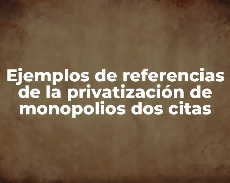 Ejemplos de referencias de la privatización de monopolios dos citas