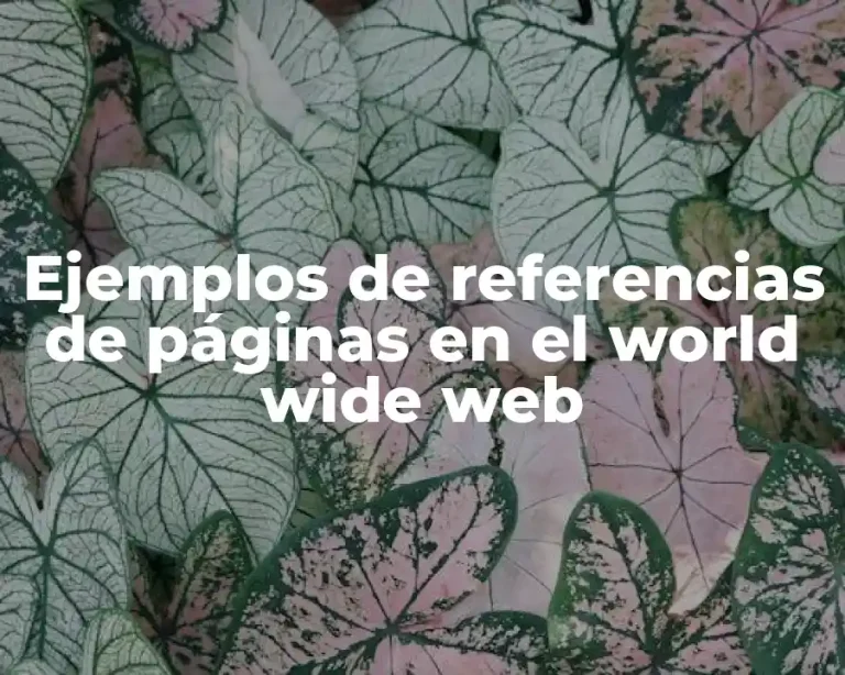 Ejemplos de referencias de páginas en el world wide web