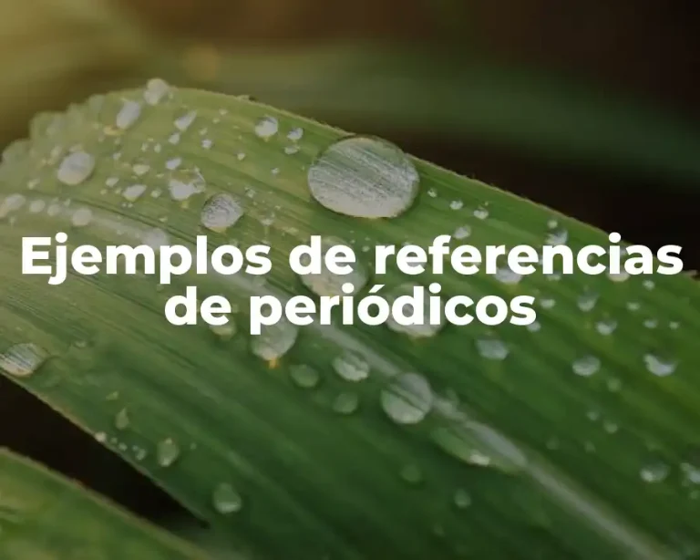 Ejemplos de referencias de periódicos